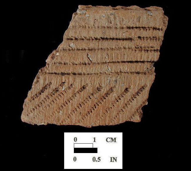 Shepard rim sherd decorated with direct cord and cord-wrapped dowel impressions, exterior surface, which shows decoration extending up over lip edge, from the Fout Collection, Maryland.